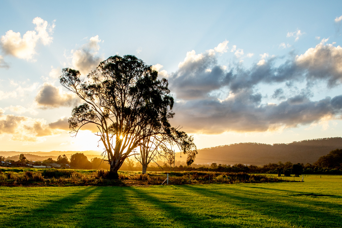 Moutain bike rider explores the Australian landscape at sunset