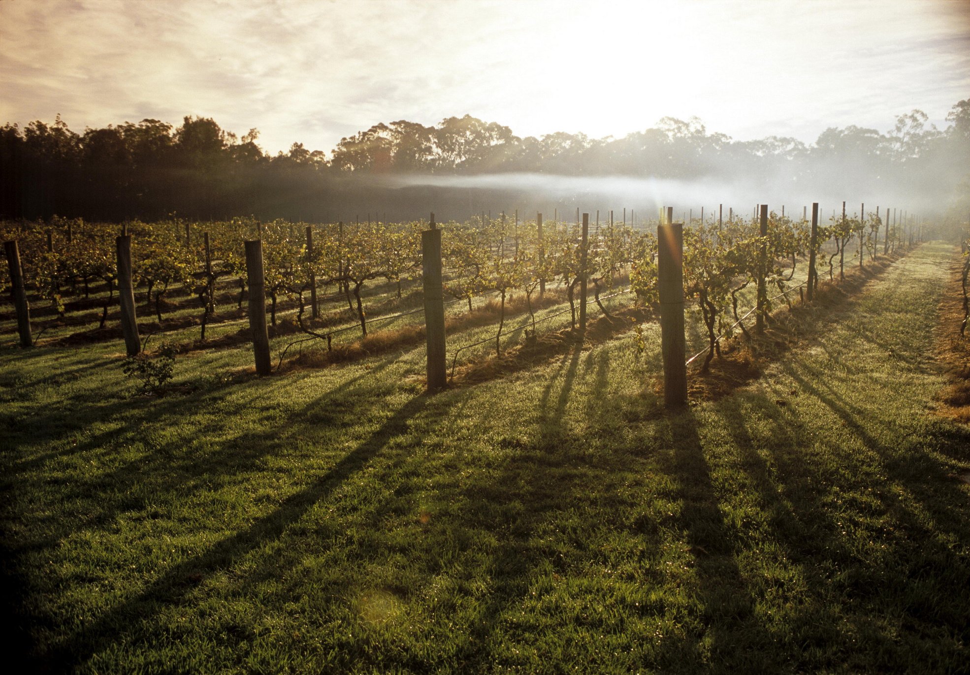 Hunter Valley, New South Wales
